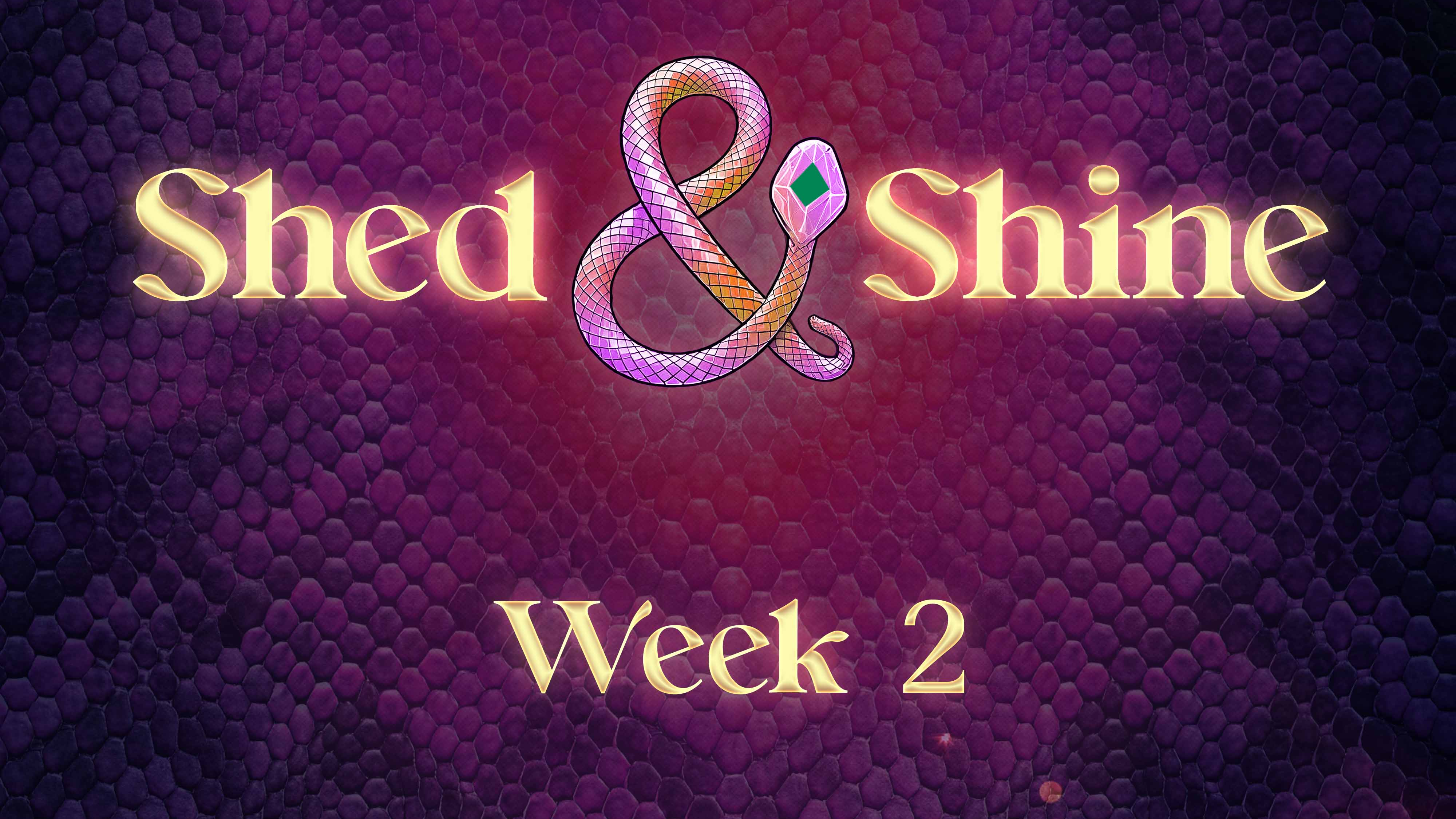 Shed and Shine Week 2