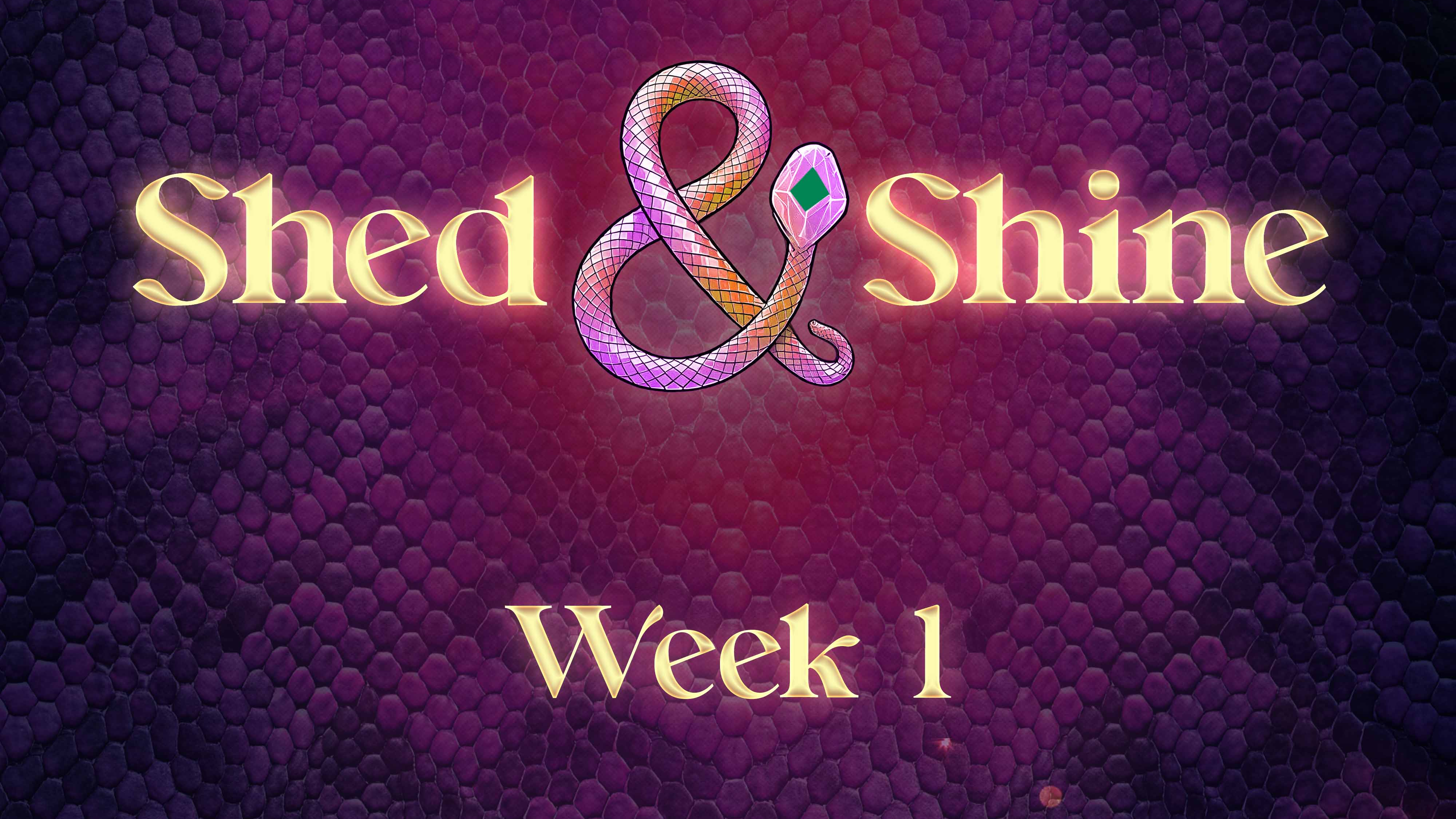 Shed and Shine Week 1