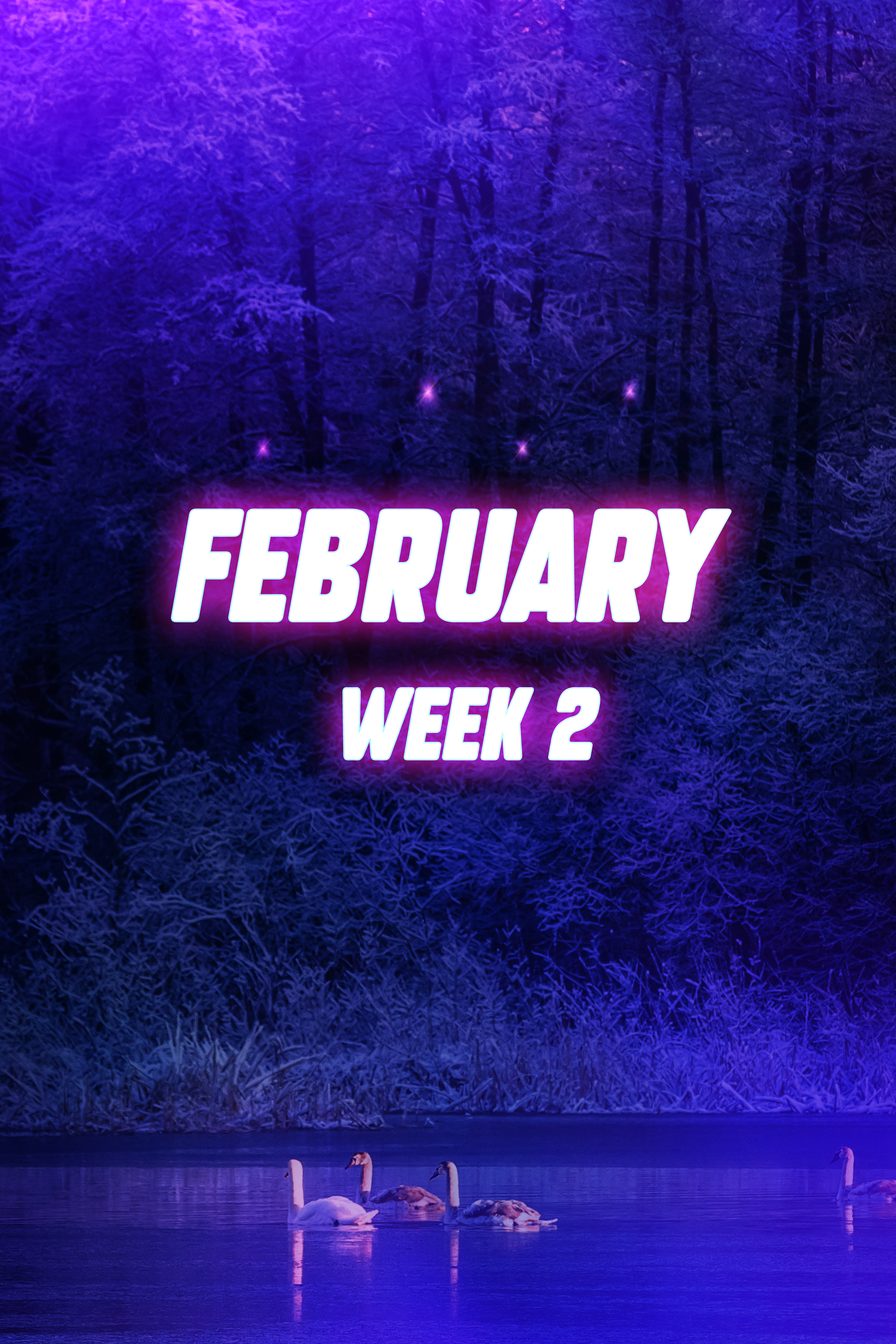 FEBRUARY Week 2