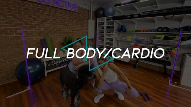 Full Body/Cardio Workout #2 (FRIDAY)