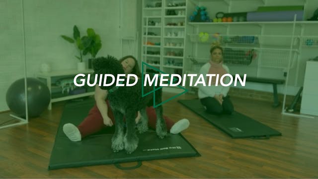 Guided Meditation #9 Water Meditation...