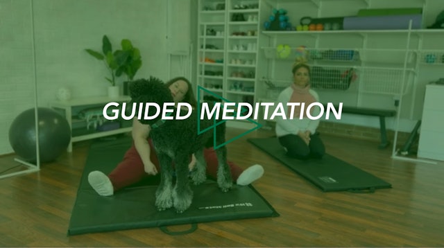 Guided Meditation #9 Water Meditation (ANY TIME)