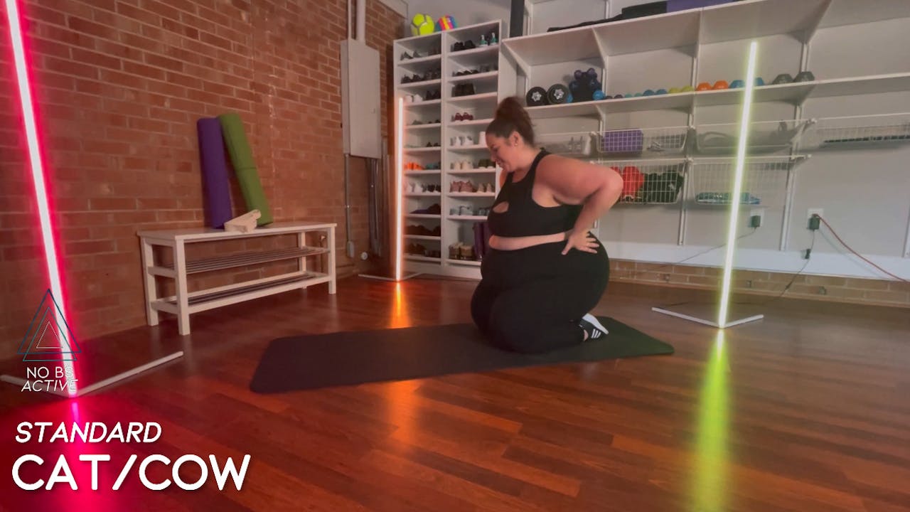 Cat Cow ALL Stretch Lessons No BS Active Cat Cow ALL Stretch Lessons No BS Active