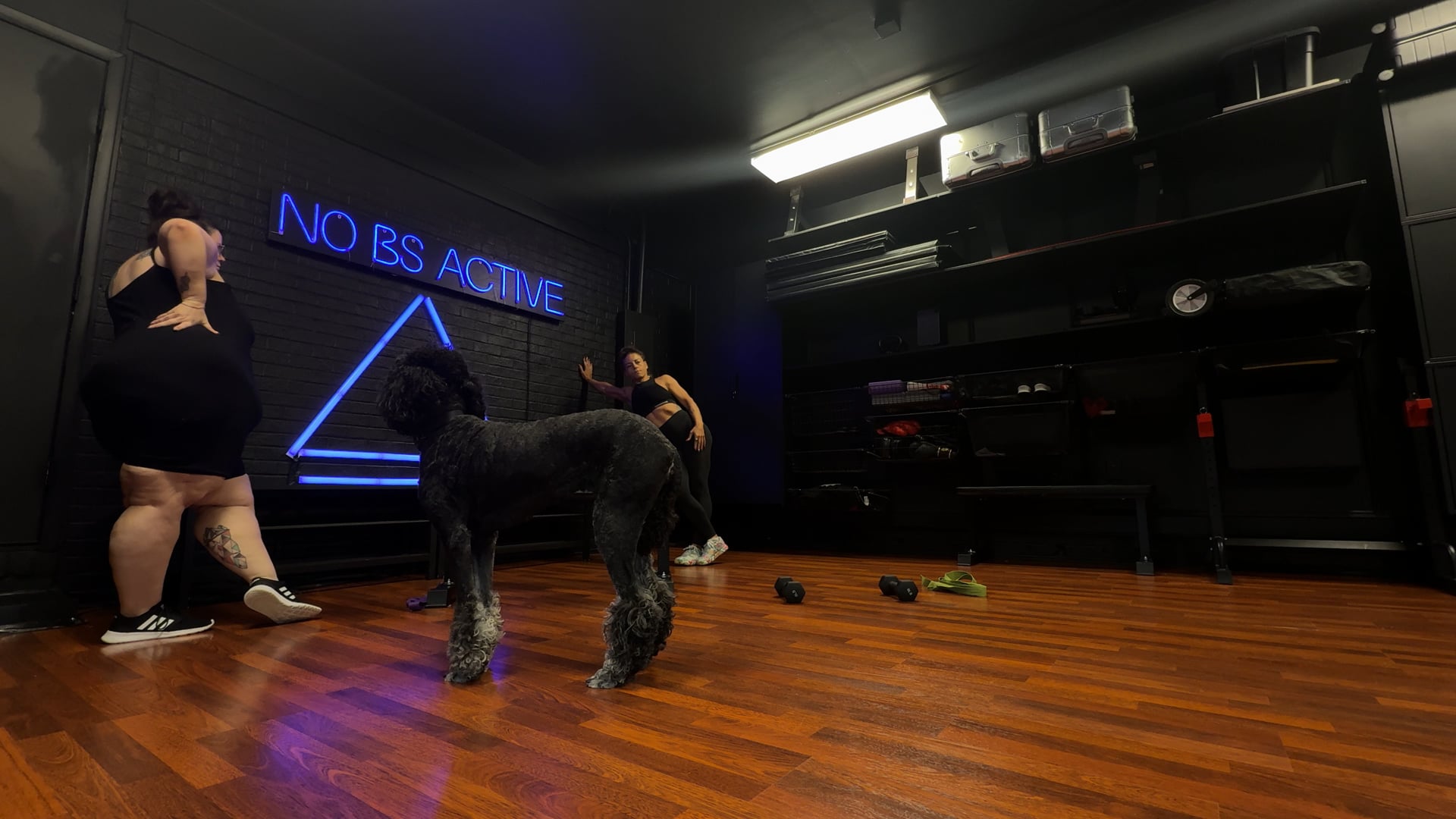 NoBS THRIVE • S14 Back 02