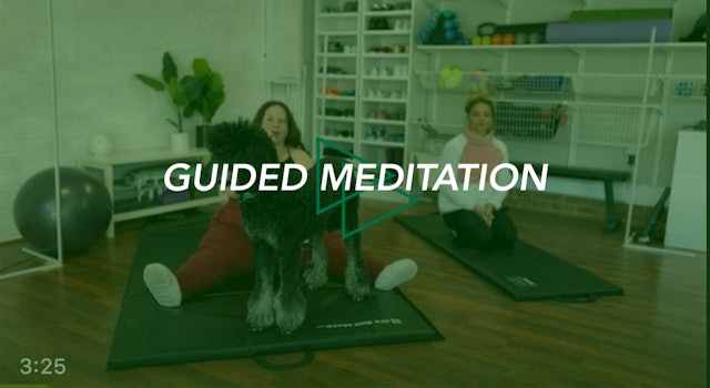 Guided Meditation #10 Air Meditation (ANY TIME)