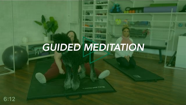 Guided Meditation: Dec. 25 (Earth Med...