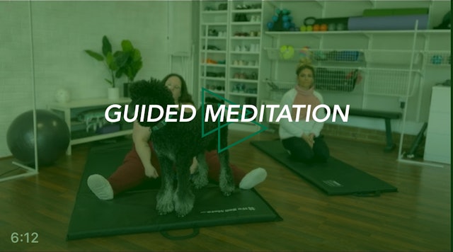 Guided Meditation: Dec. 25 (Earth Meditation)
