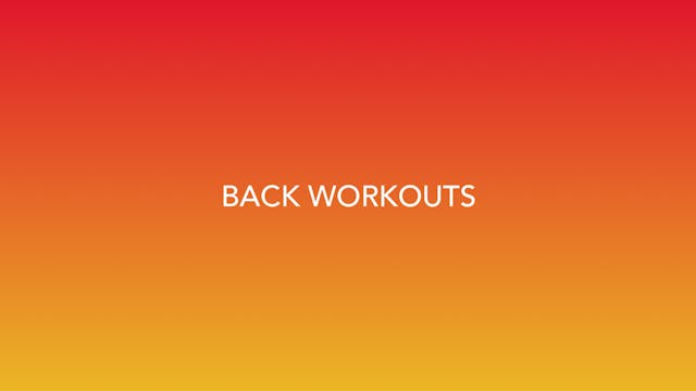 Back Workout 09