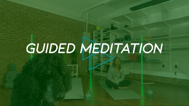 Guided Meditation #5: Anxiety Relief (ANY TIME)