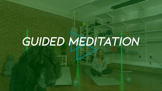 Guided Meditation: Dec. 4 (Anxiety Re...