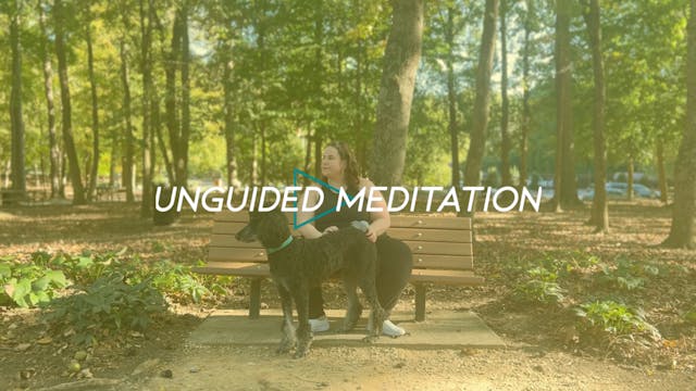 Unguided Meditation #7: Park (DAILY)