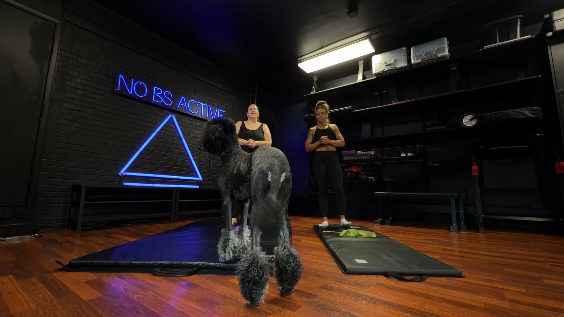 NoBS STRETCH • S14 Session 02