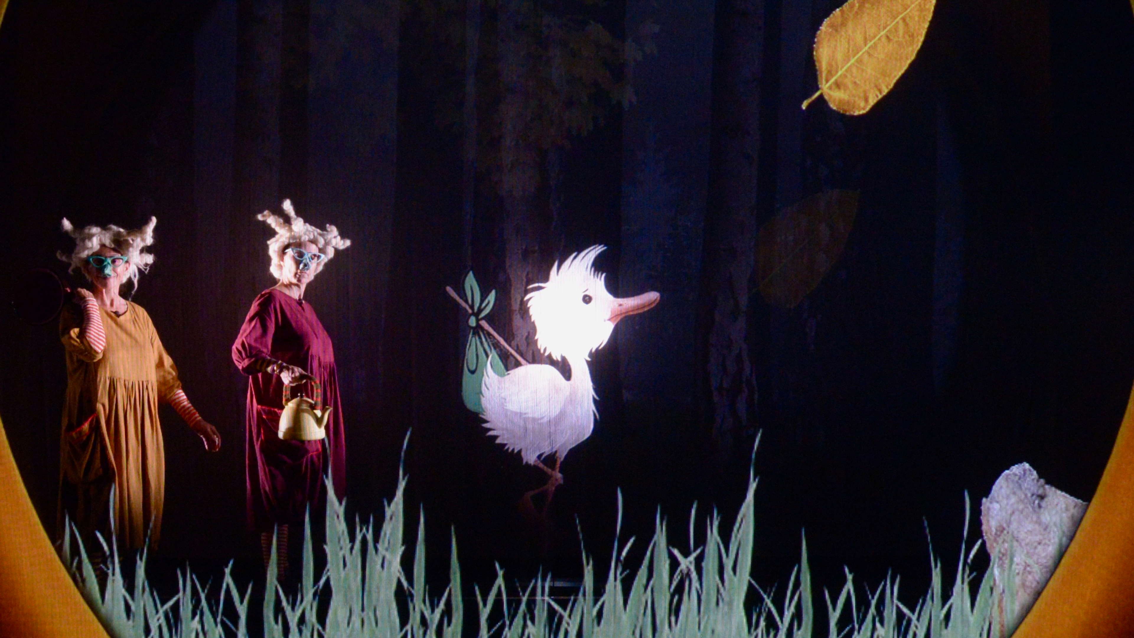 Pato Patito | Trailer (No disponible en Teatroamil.tv)