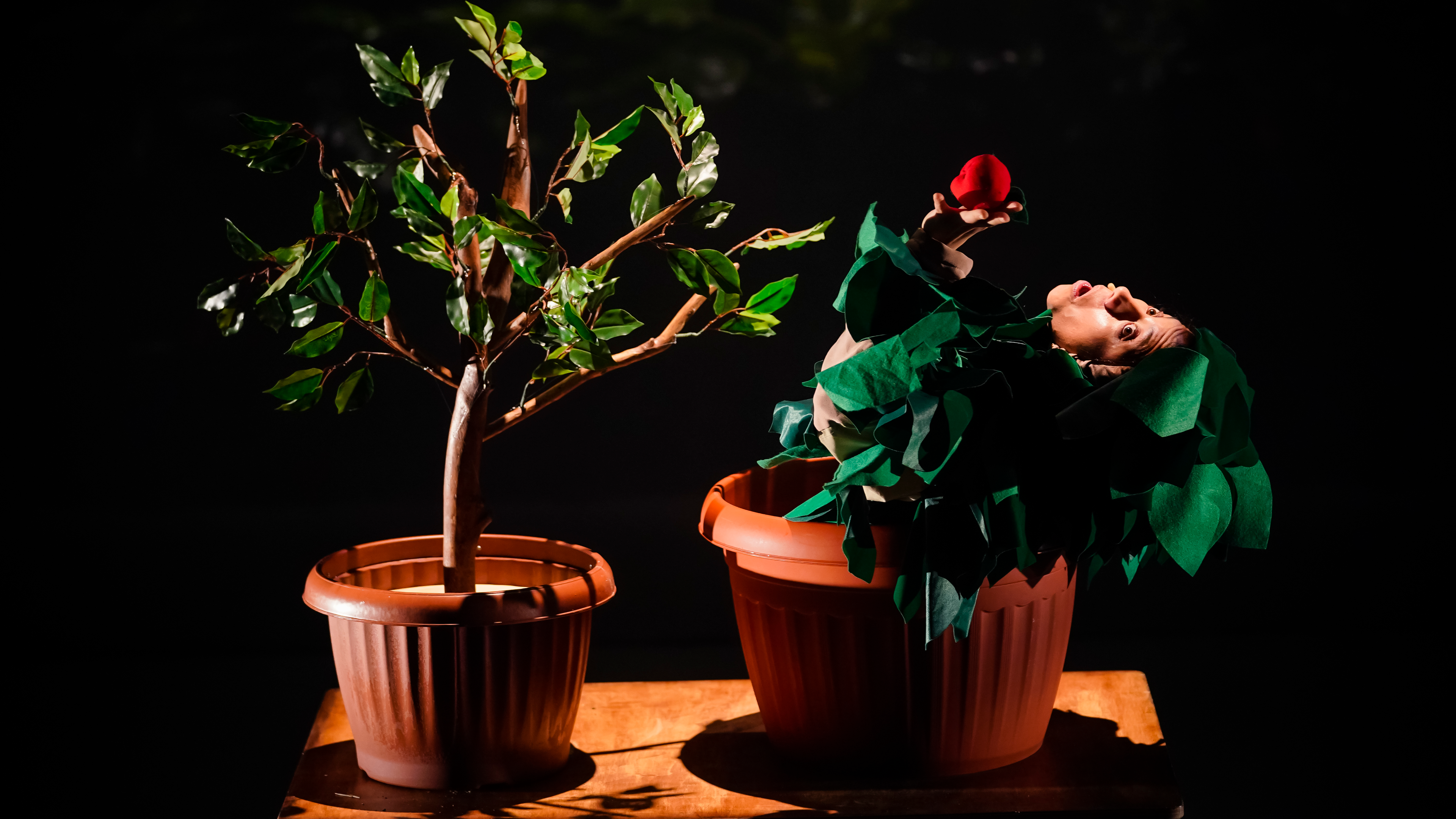 Estado Vegetal | Trailer (No disponible en Teatroamil.tv)