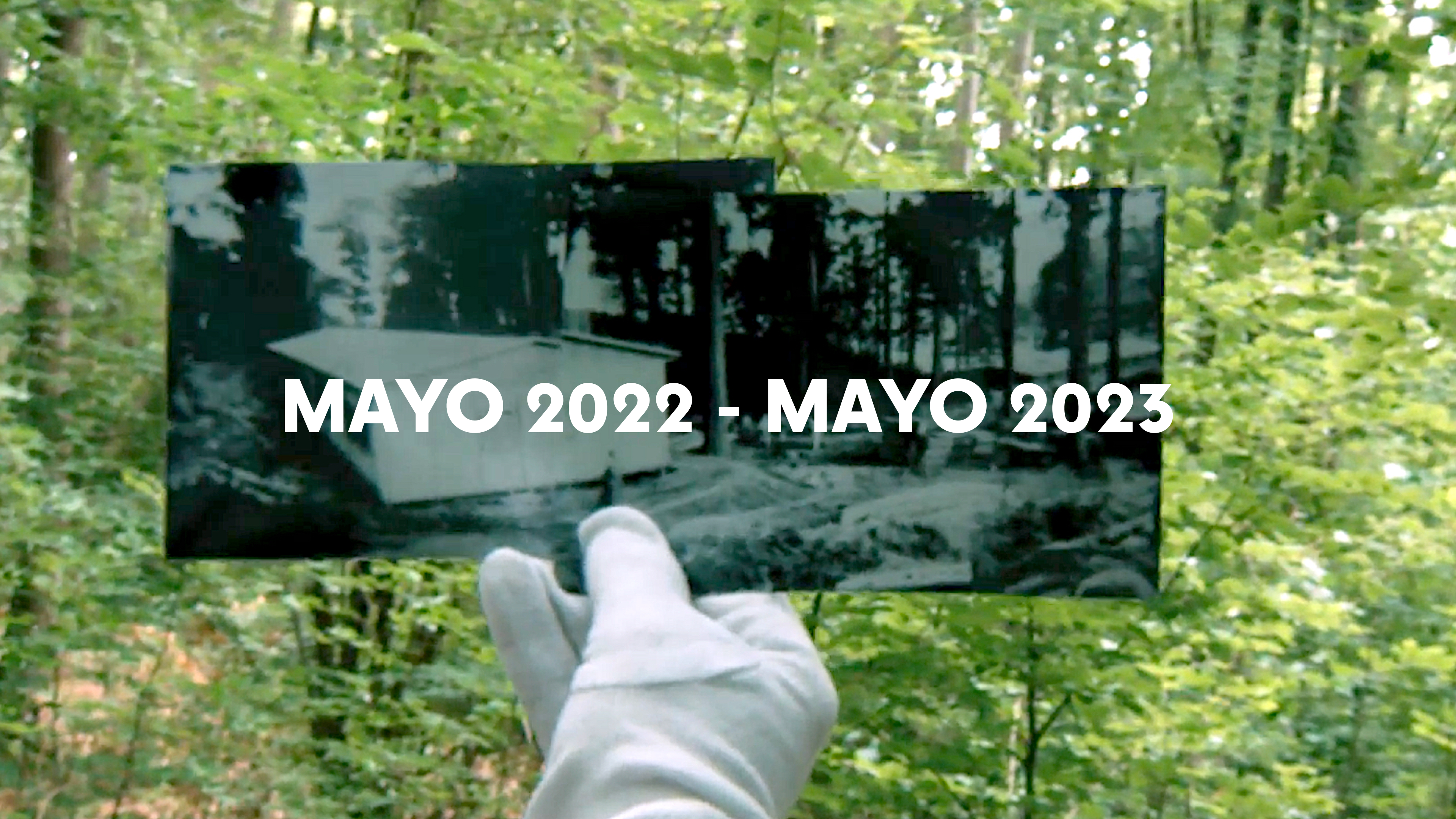 From where they Stood | Trailer