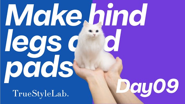 Day9_Make hind legs and pads