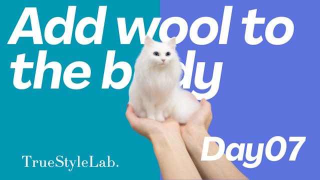 Day7_Add wool to the body
