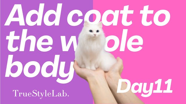 Day11_Add coat to the whole body