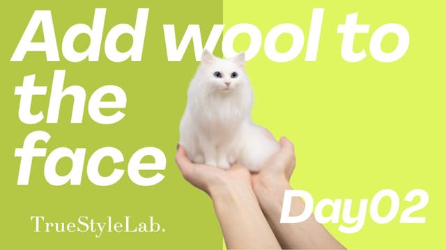 Day2_Add wool to the face