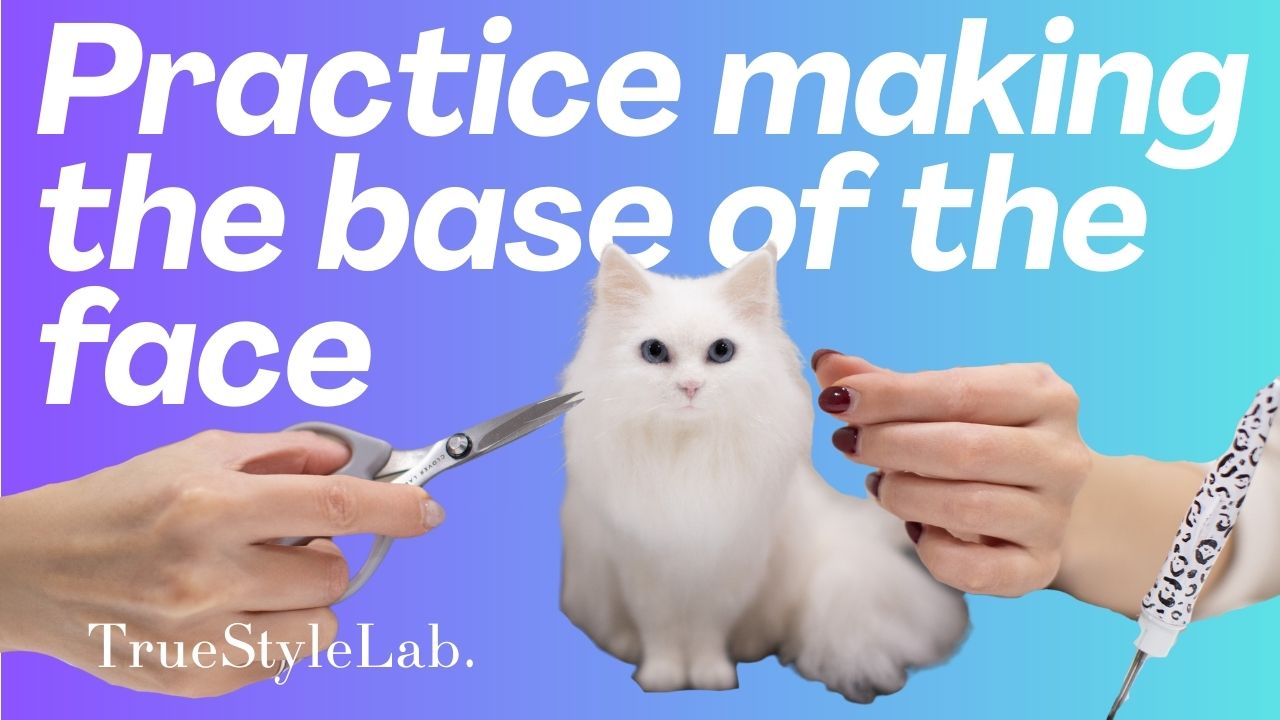 Practice making the base of the face_English