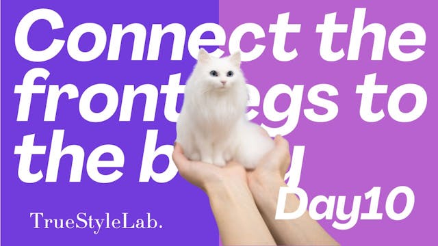 Day10_Connect the front legs to the body