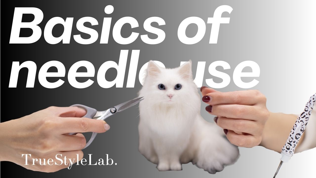 Basics of needle use_English