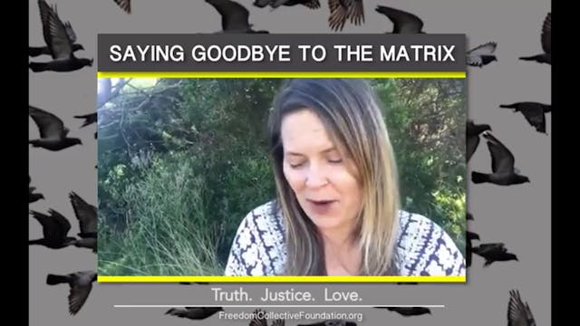 Saying Goodbye To The Matrix