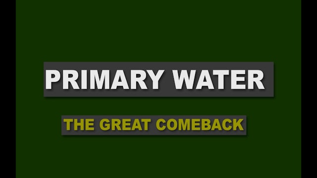 Primary Water And Community