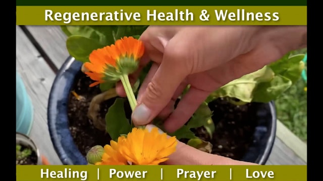 Dennis Meehan - Regenerative Health and Wellness