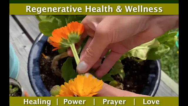 Dennis Meehan - Regenerative Health a...