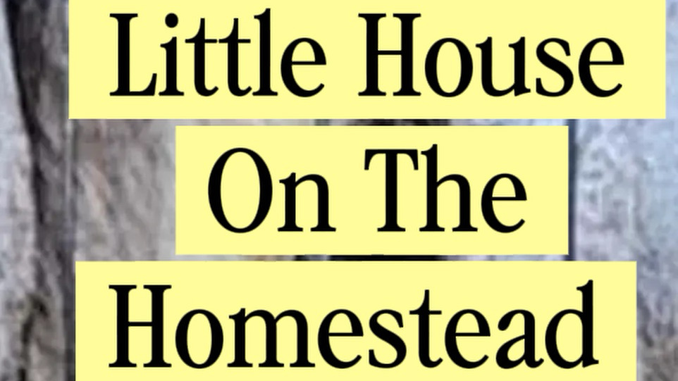 Little House on the Homestead