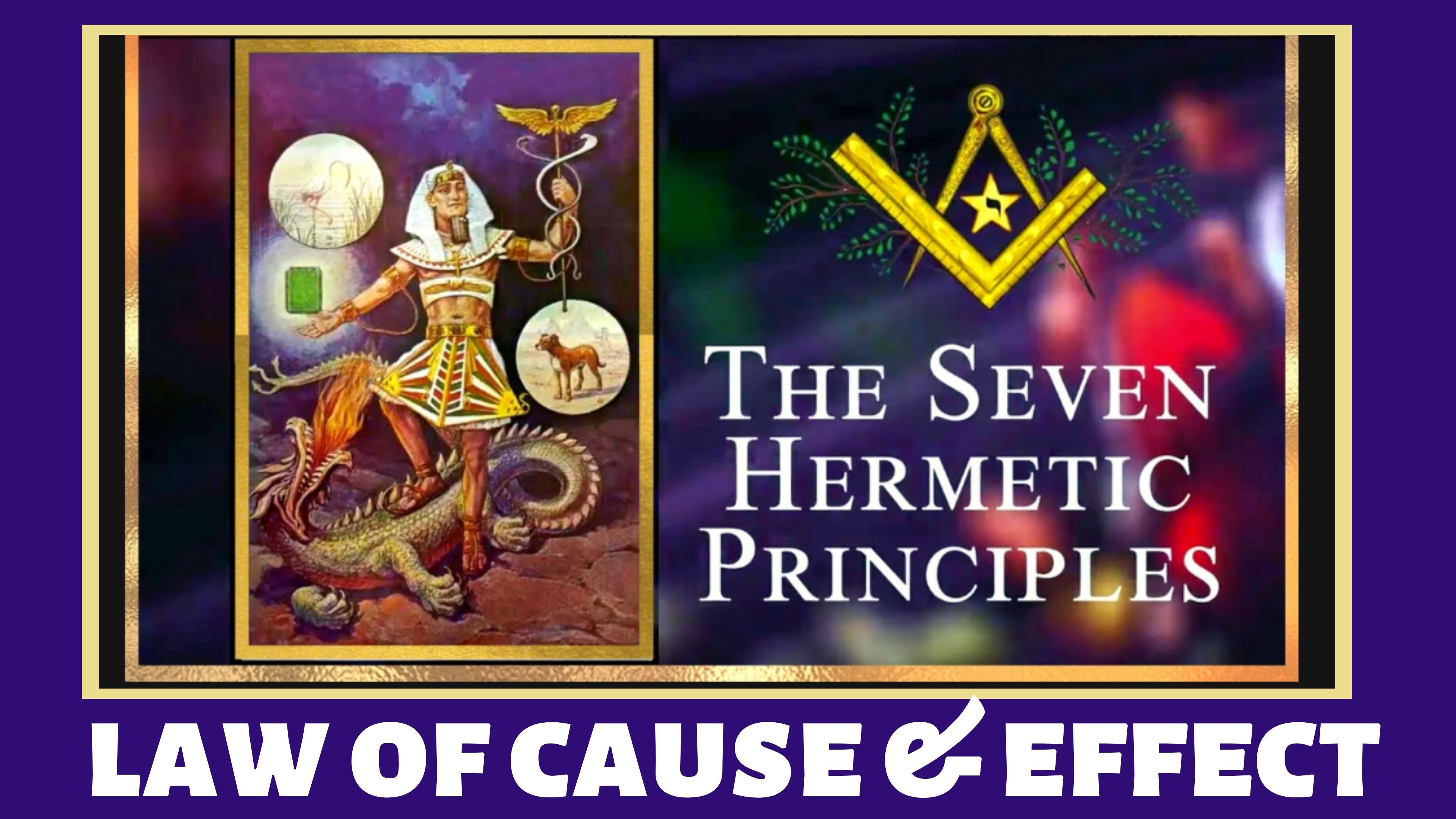 Law of Cause and Effect