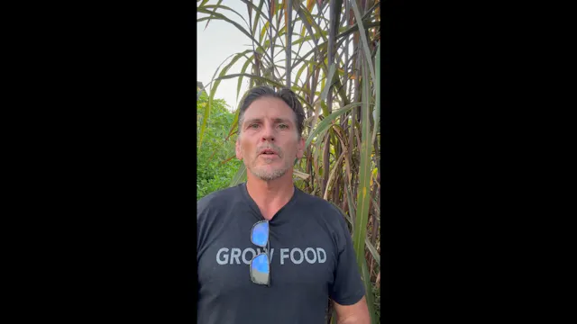 Jim Gale - IRS Information