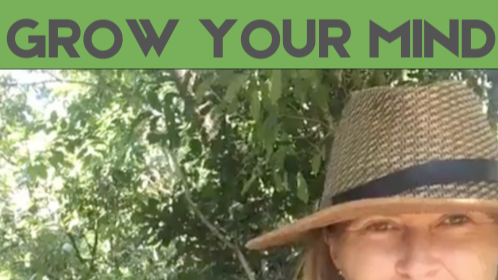 4. The Mechanics of Mind Control: The Truth They Don’t Want You to Know