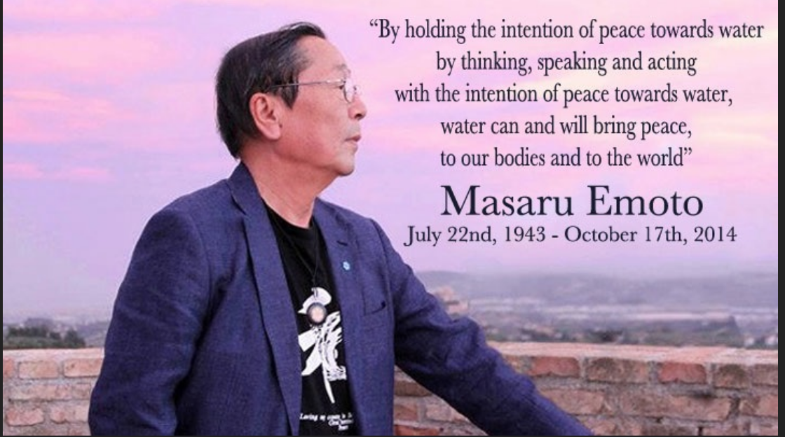 Meeting Emoto Through Primary Water