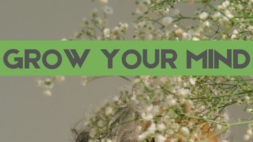 The Magical Mystery of Mind Control