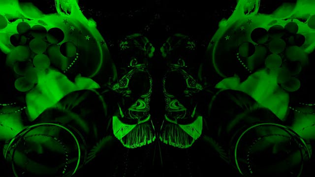 Matrix_2523_16Sec_SideShortDarkergrnFans_LOOP