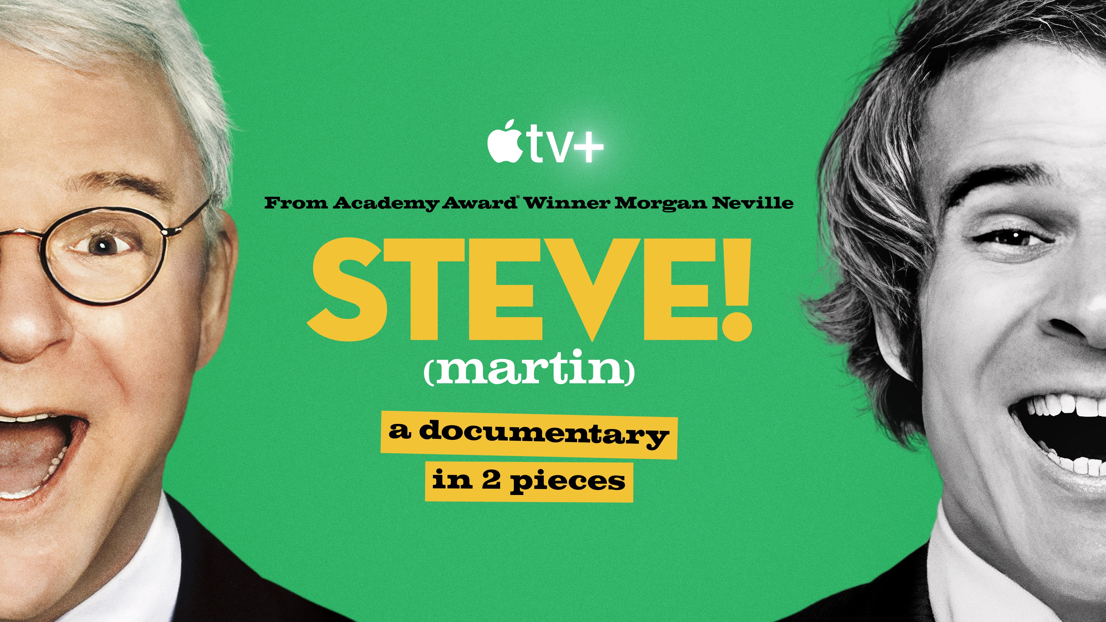 Steve! (martin) a documentary in 2 pieces