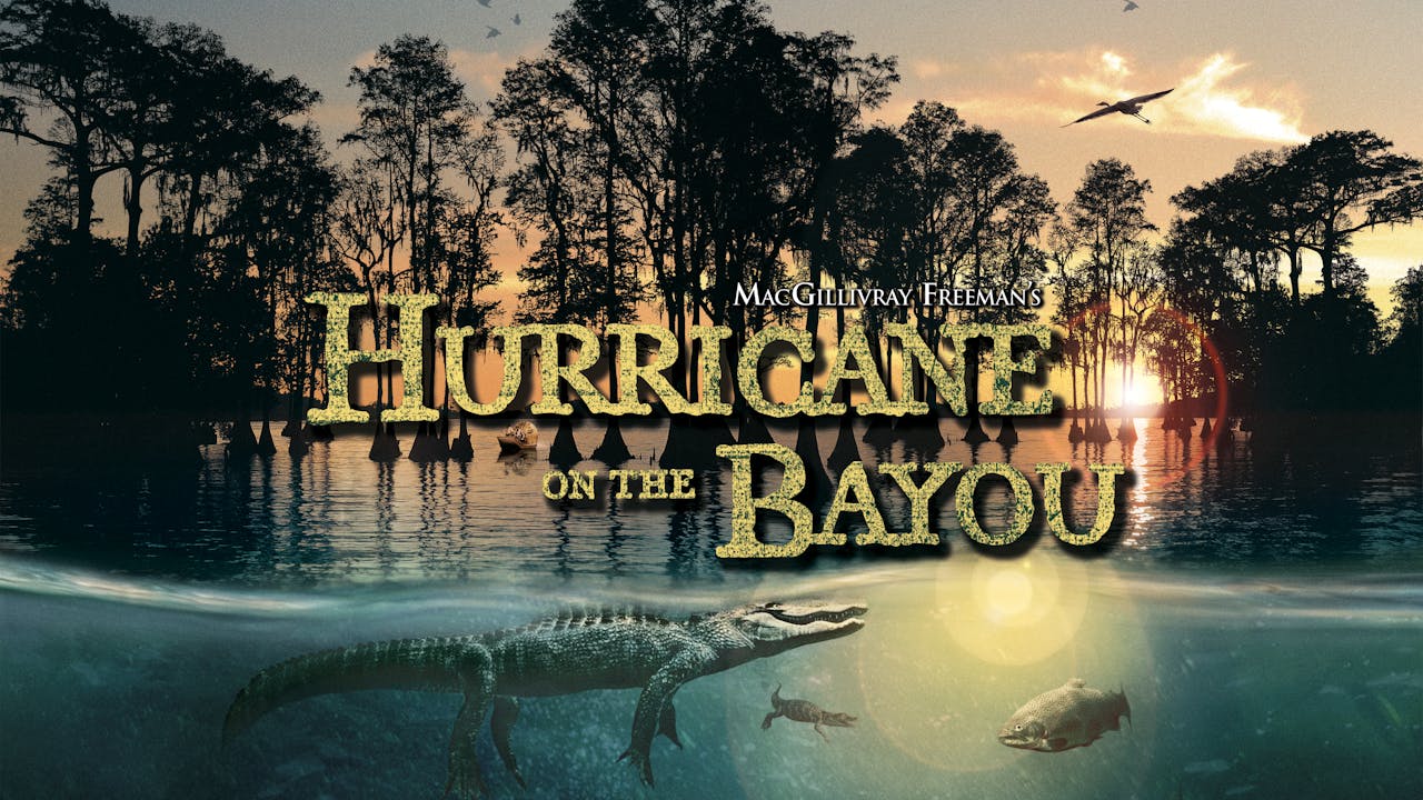 Hurricane on the Bayou