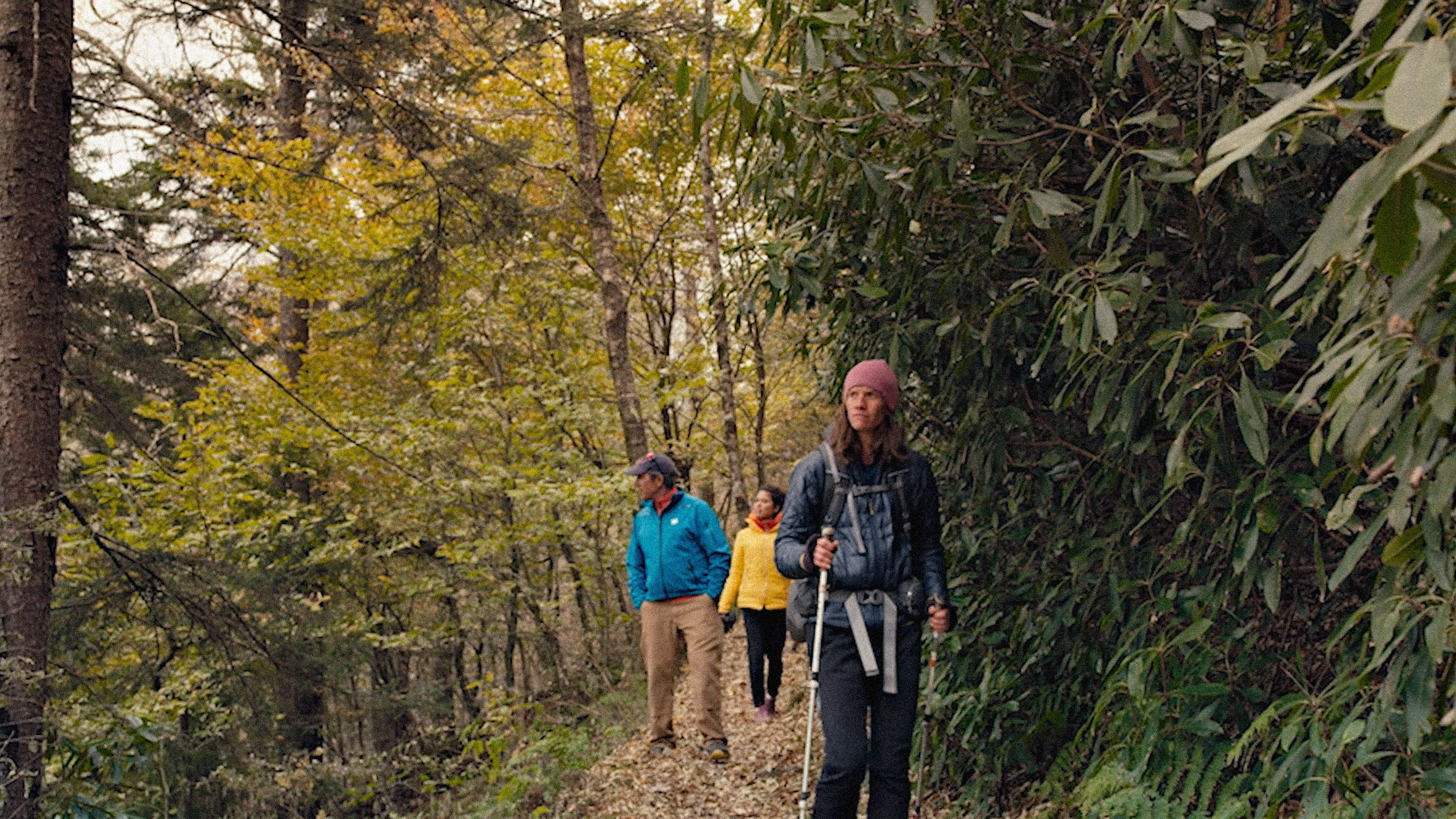 Meet Jennifer Pharr Davis