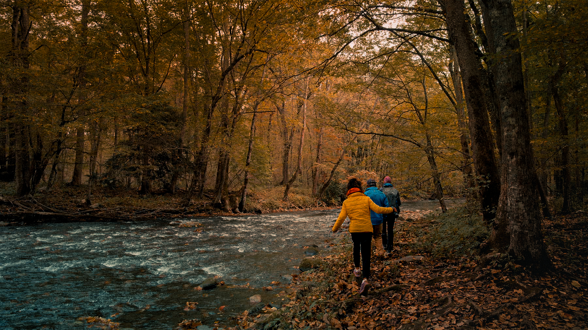 Trails & Trailblazers: Florida & Appalachian Trail