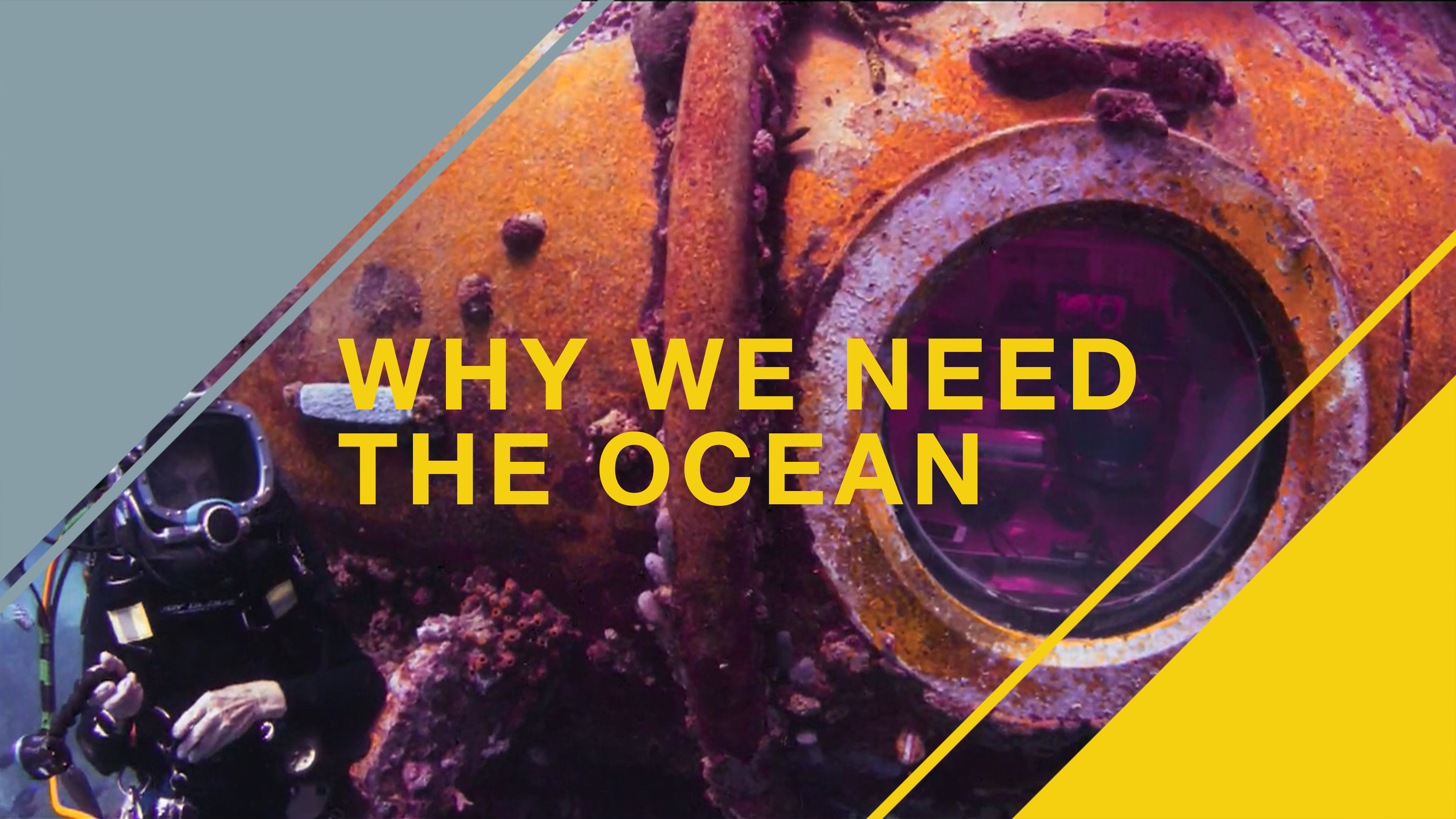 Mission Aquarius: Why We Need The Ocean - Dr. Sylvia Earle at Aquarius