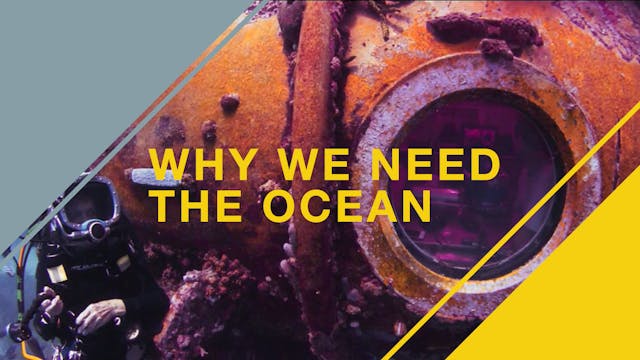 Mission Aquarius: Why We Need The Oce...
