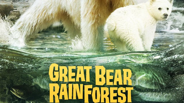 Great Bear Rainforest- Spanish Version