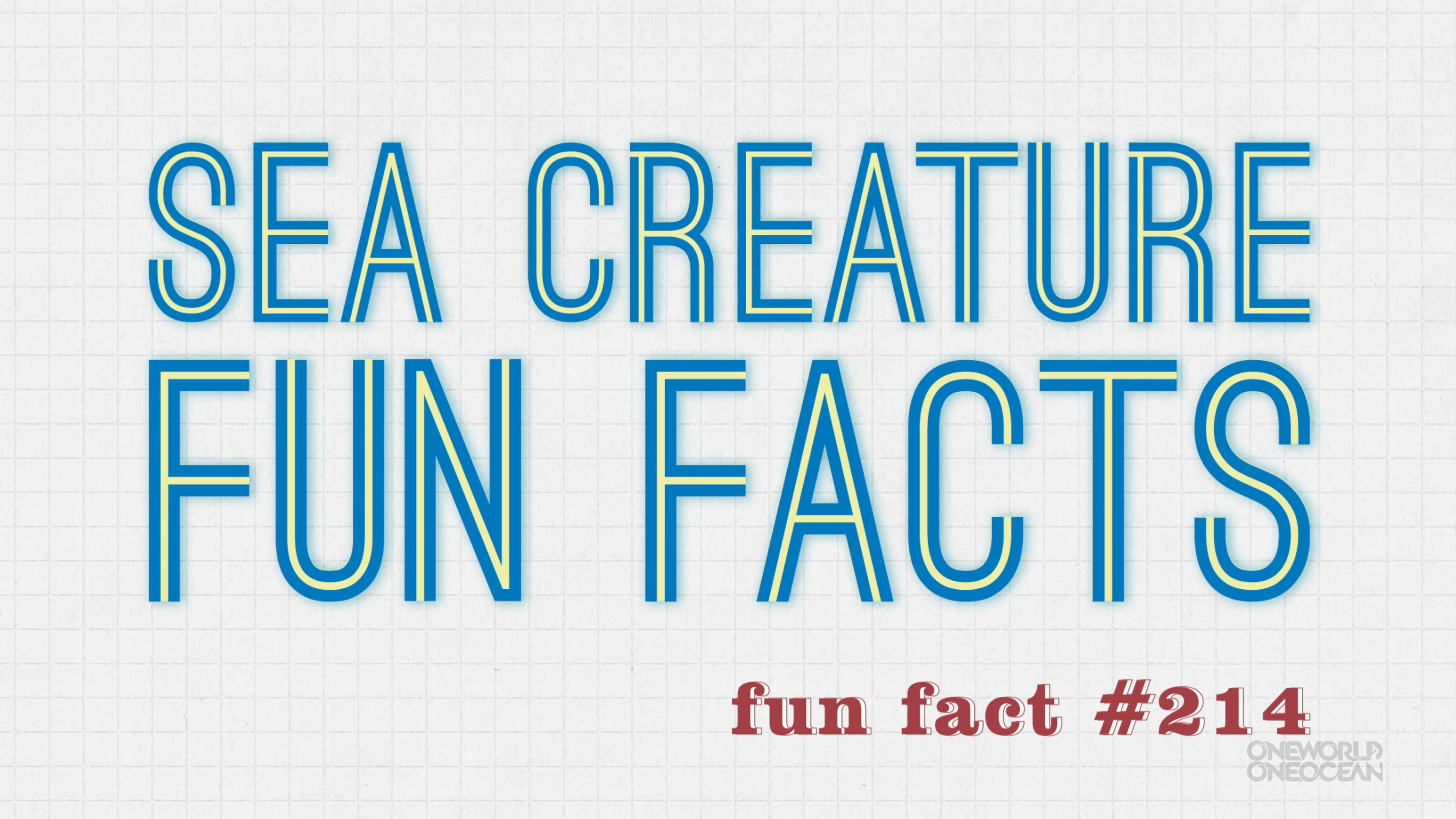 Sea Creature Fun Facts: Walrus