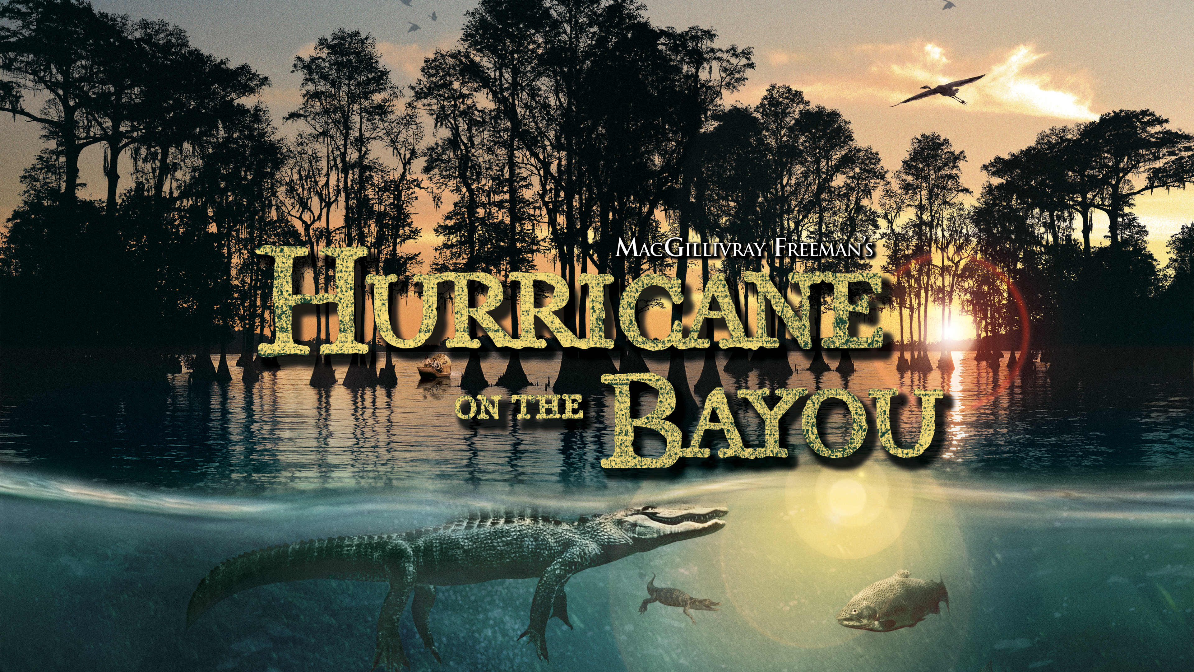 Hurricane On The Bayou