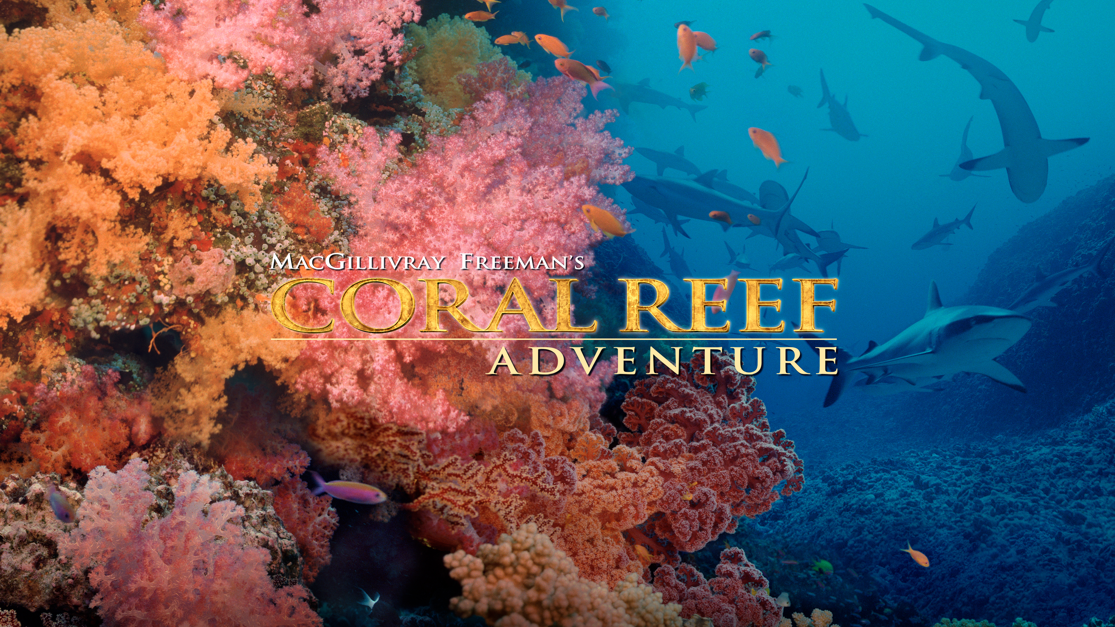 Coral Reef Adventure