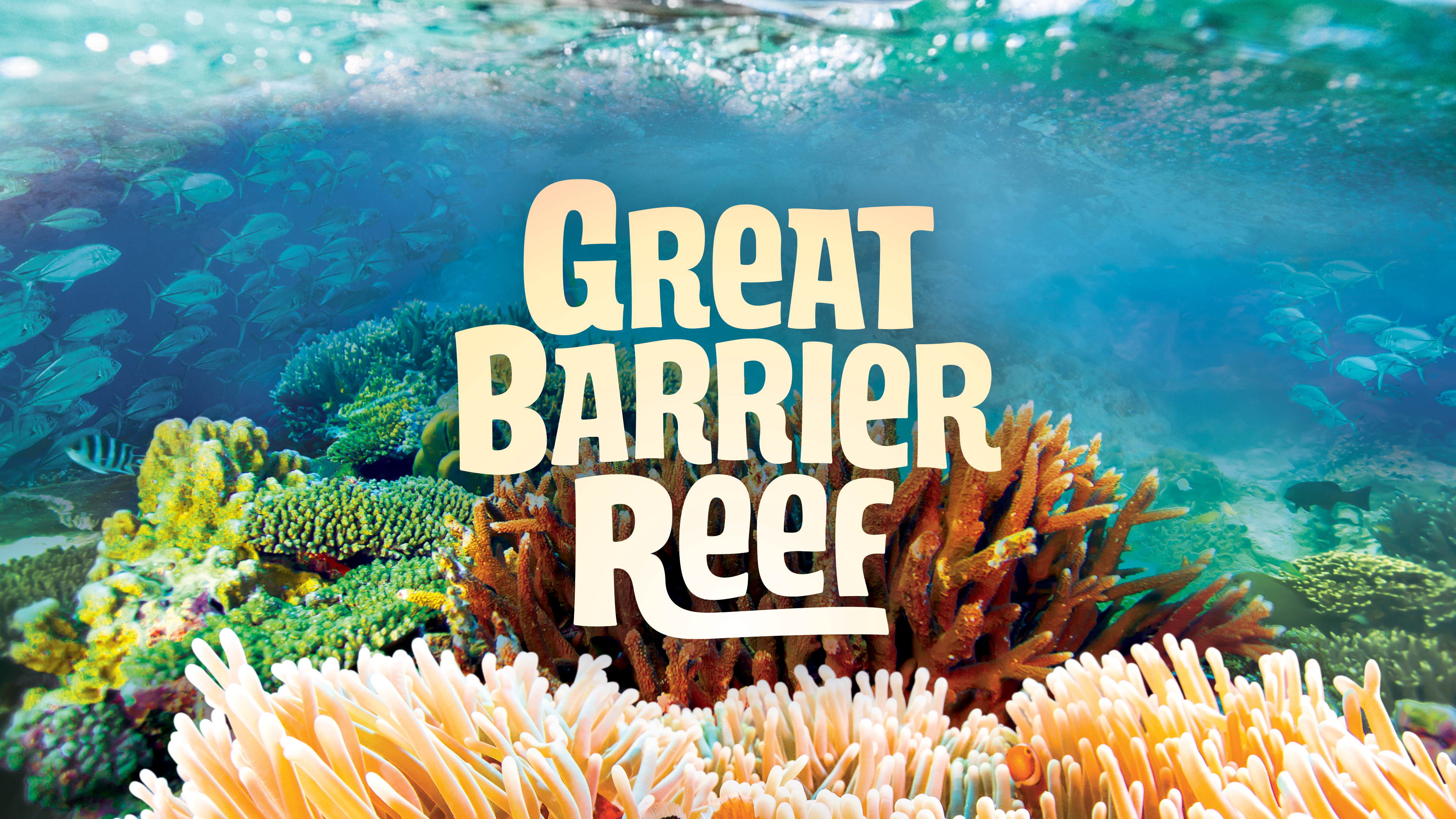 Great Barrier Reef - Spanish Version