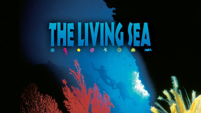 The Living Sea