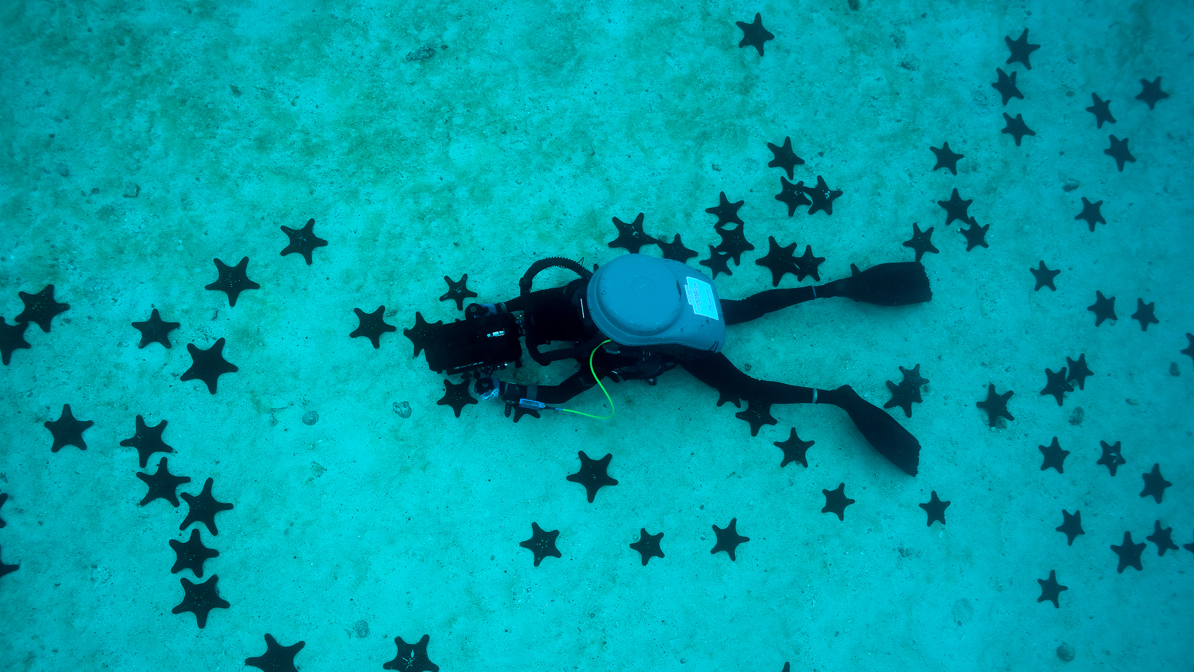 Field Reports: Dr. Richard Pyle Rebreathers at Cocos Island